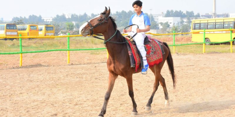 horse-riding-2