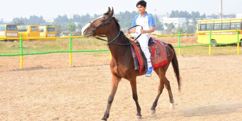 horse-riding-2